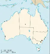 纽卡斯尔迎NBA总决赛关键赛；冲刺阶段回应争议；目标明确；球探报告显示潜力(曼城和纽卡斯尔的足总杯目前状况)