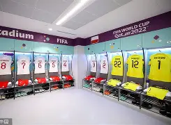 开云体育 注册-包含风云突变阿森纳关键时刻更衣室发声赛前纽卡斯尔调整名单以备西甲之后，风云突变布莱顿清晨豪取连胜的词条